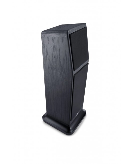 Canton Floorstanding - Ergo GS Edition