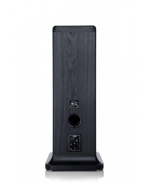 Canton Floorstanding - Ergo GS Edition