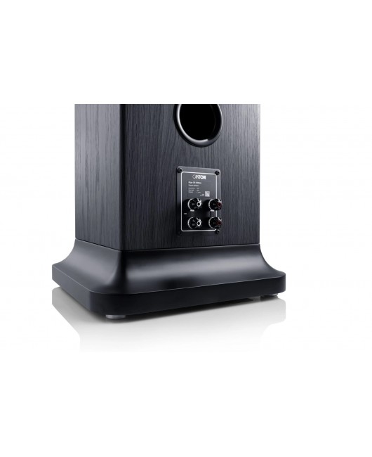 Canton Floorstanding - Ergo GS Edition