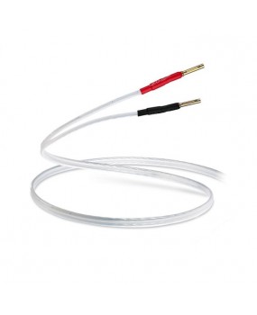 QED Performance XT25 - Pre-Term Speaker Cable 2M