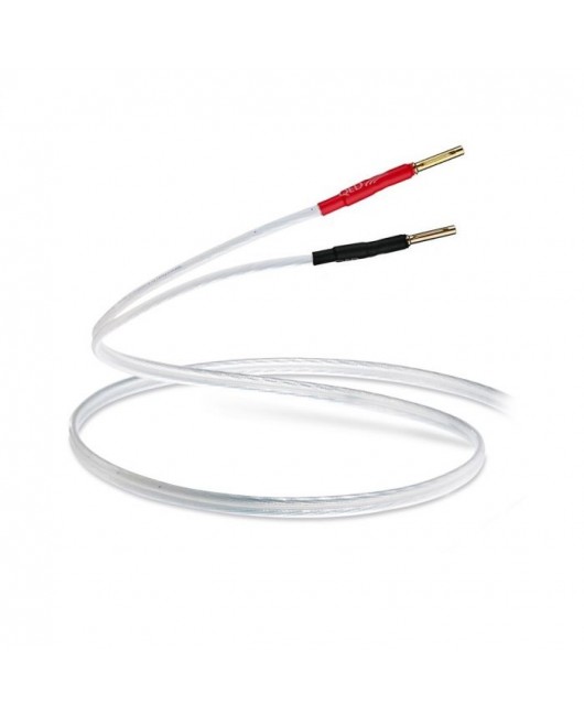 QED Performance XT25 - Pre-Term Speaker Cable 3M